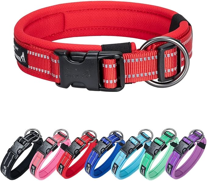 EXCELLENT ELITE SPANKER Reflective Dog Collar Classic Soft Padded Breathable Nylon Adjustable Pet Collar with Quick Release Buckle for Boy Girl Male Female Small Medium Large Dogs Training(Red-S)