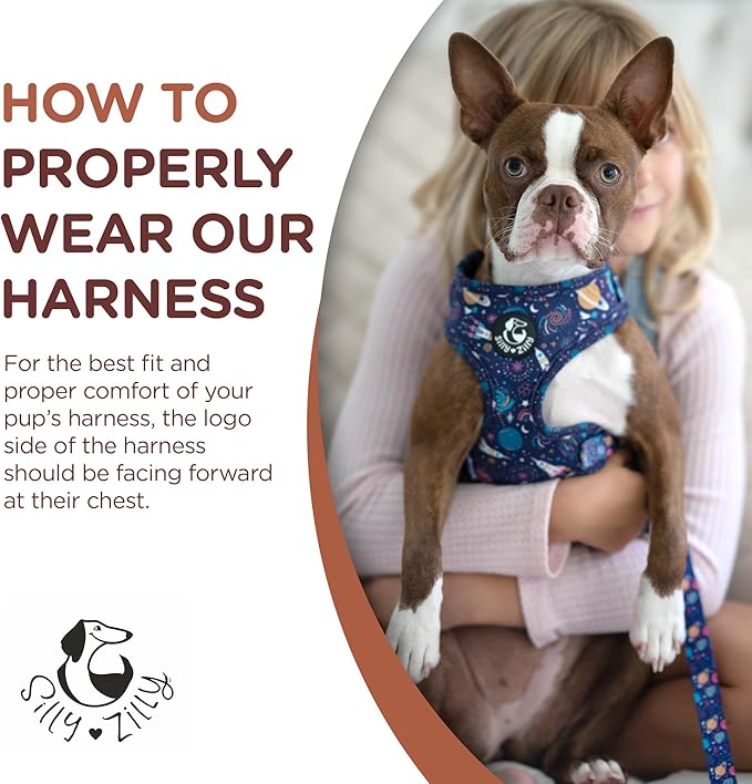 No Pull Harness and Leash Set - 6-in-1 Adjustable Vest Harness and Collars for Medium and Large Dogs. (Cosmic, Small)