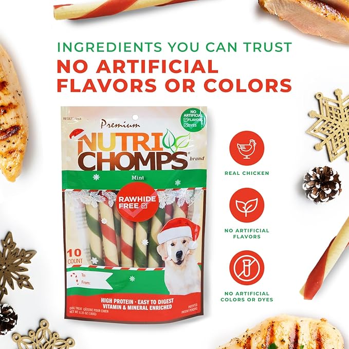 NutriChomps Dog Chews, 5 inch Twists, Mint Flavor, 10 Count, Easy to Digest, Rawhide Free, Holiday Stocking Stuffer Treats, Christmas Gift for Dogs