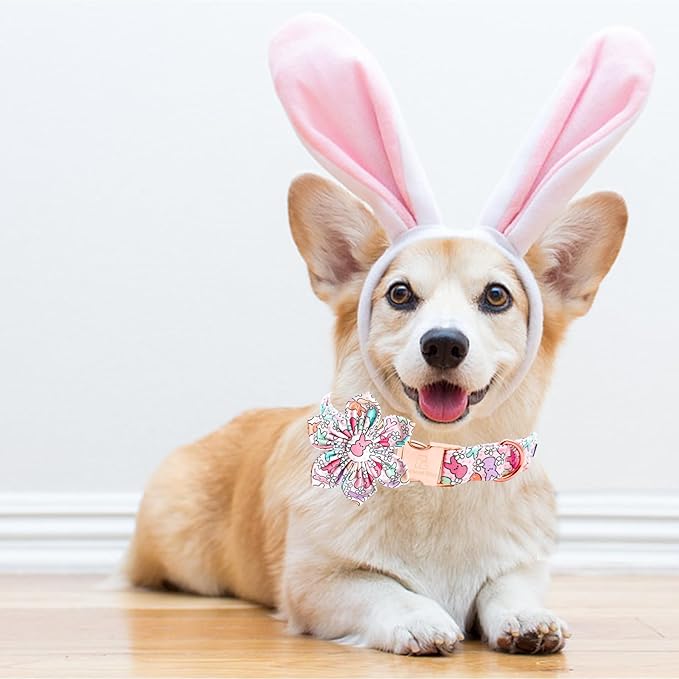 Lionheart glory Easter Day Dog Collar with Flower Dog Collar for X-Small Dogs, Rabbits Colorful Dogs Collars Flowers Spring Collars Puppy Flowers