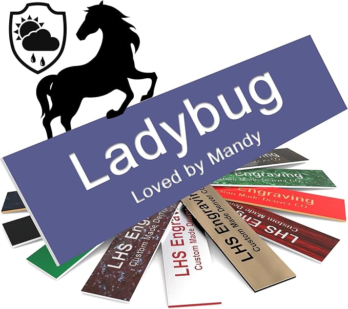 Horse Stall Name Plate, 2x8 Personalized Stall Signs, UV Protected, All Weather Adhesive, Hanging, Mounting or Other, Purple Plastic White Letters - Made in USA - B13