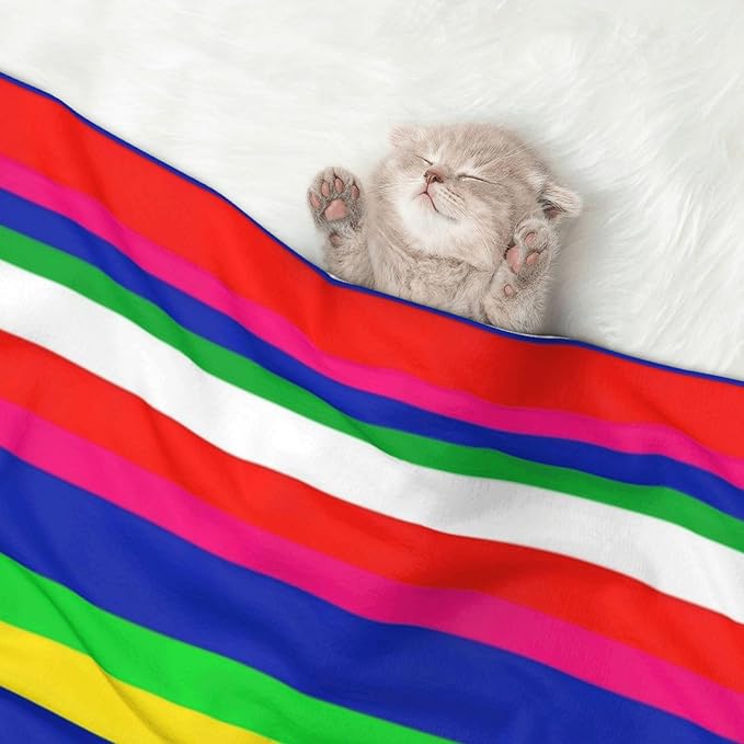 Double Sided Plush Pet Blanket with Cozy Dot Texture and Smooth Reverse, Novel Colorful Mexican Blanket Stripes, Reversible Throw for Dogs Cats on Couches Beds Crates