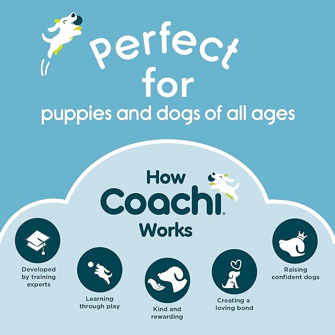 Coachi Training Line 10m Safe Training Outdoors, Recall Training, Dog & Puppy Socialisation, Lightweight, Waterproof, Perfect for Stopping Chasing. Suitable for Medium & Large Dogs & Puppies