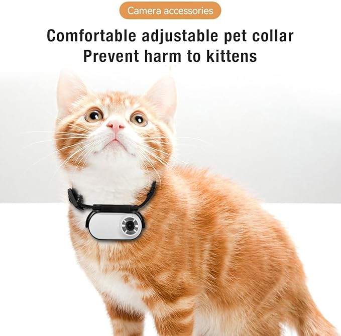 HD Cat Camera Collar with Video Recording, Cat Collar Camera, Adjustable Magnetic Cat Sport Camera Body Camera for Pet Supplies, for Outdoor, Indoor (White)
