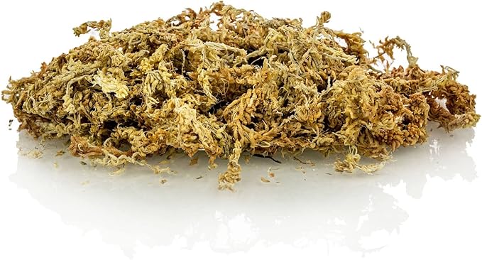 Premium Grade Sphagnum Moss by Gardenera - 10 Quart - Organic Hand Mixed New Zealand Long Fibered Sphagnum Moss Orchid - 2 Bags of 5 Quart