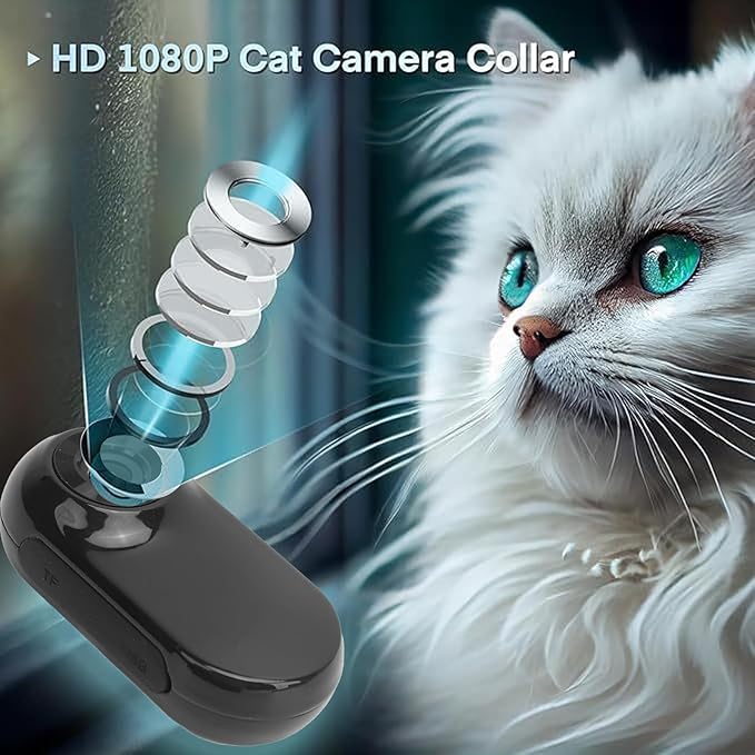 ASHATA HD 1080P Cat Collar Camera, Pet DV Camera 170 Degree Wide Angle Lens, Dog Collar Camera Sport Action Camera for Cats Dogs Outdoor Inoor Puppy Supplies Birthday, ASHATA9eazqg3rc4