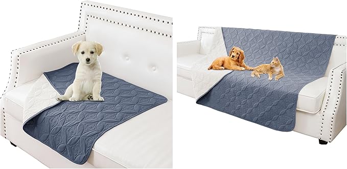 Waterproof Dog Blanket, Small Pet Couch Covers for Sofa, Chair Bed Furniture Protector from Dogs Washable and Reversible-(30"x30",Blue+Cream and 52"x82", Blue+Cream)