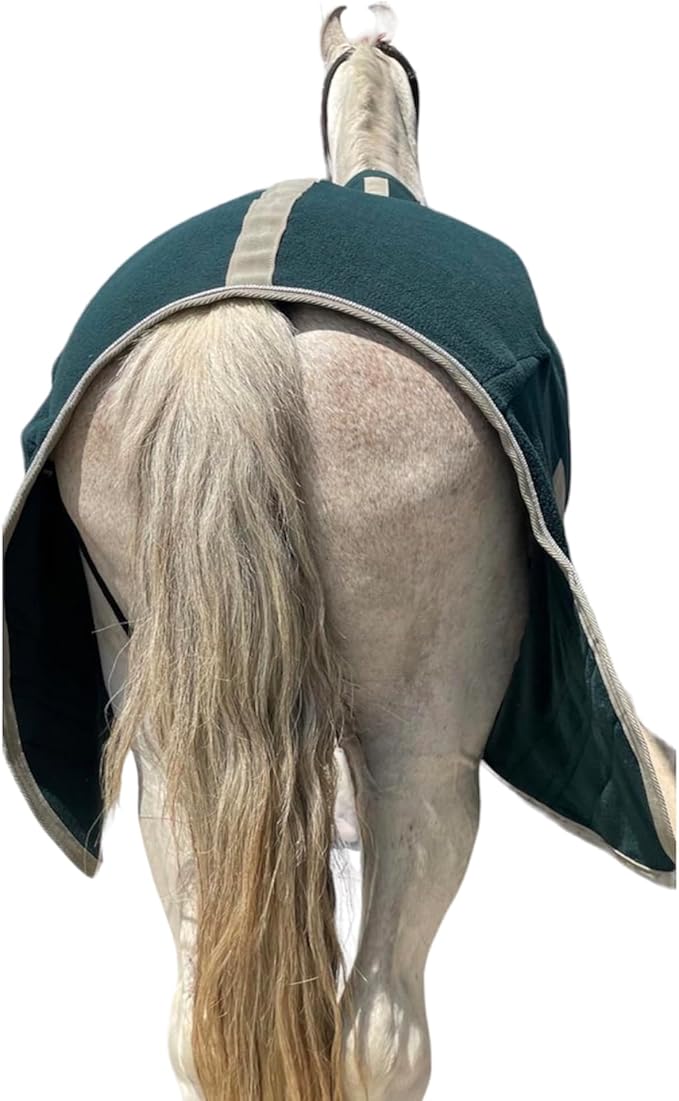 Majestic Ally Anti Pill Fleece Horse Blanket/Sheet with Silver Braided Rope (Hunter Green, 82)