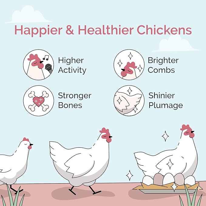 Organic Chicken Feed – Layer Mash, Non-GMO, USA Grown, 16% Protein, Corn-Free, Soy-Free, Non-Medicated Feed for Chickens, 23 lbs
