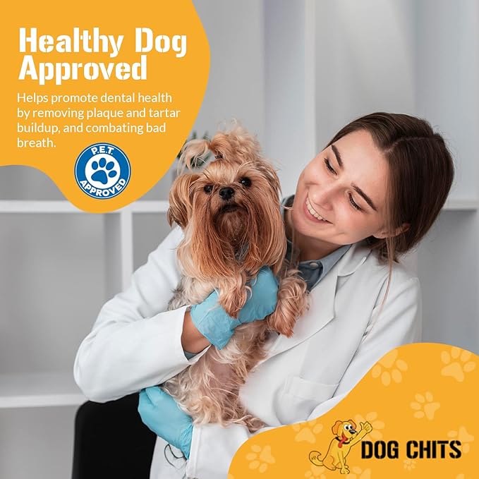 Dog Chits Cow Ears for Dogs – All Natural Cow Ear Dog Treats & Training Chews – High Protein, Low Fat – Thick Cut, Full-Sized – Dental Clean Crunch – Ideal for Medium & Large Dogs – Large, 10 Pk