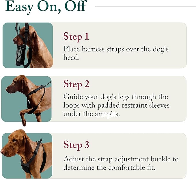 Sporn No Pull Dog Harness, Durable Nylon Mesh Harness for Small Dogs, No Choke Design, Padded Restraint Sleeves, Adjustable Fit, Easy On/Off, Ideal for Small Breeds, Black