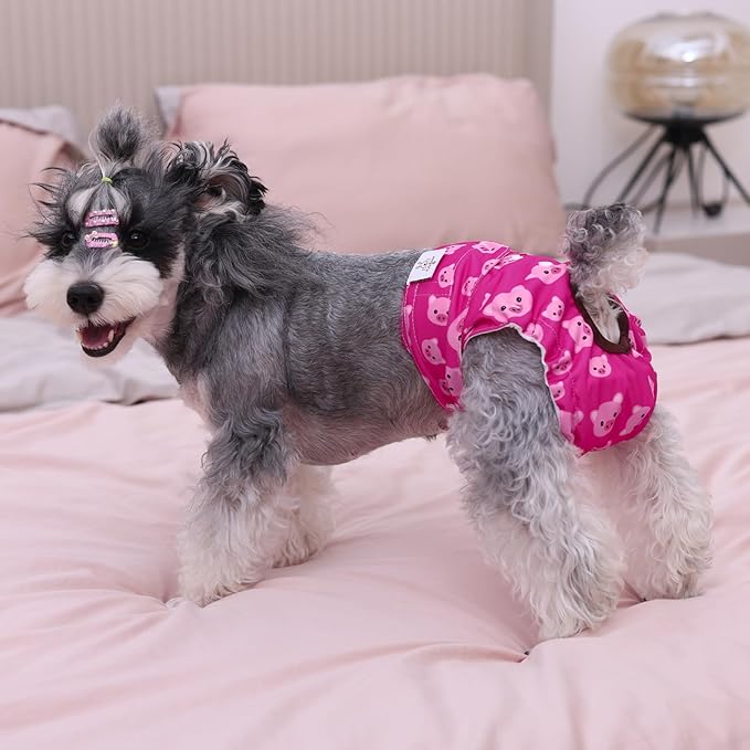 CuteBone Dog Diapers Female Washable Small Medium Large 3 Pack Reusable Doggie Diapers Puppy Period Pants for Doggy Heat Cycle Peeing D31XS