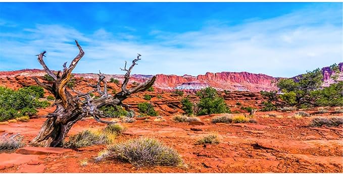 AWERT 48x18 inches Reptile Habitat Background Blue Sky Oasis Orange Desert Terrarium Background Durable Polyester Background