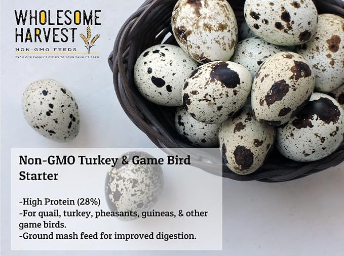 Non-GMO Turkey & Game Bird Starter Feed – 10 lb, 28% Protein, Omega-3, Calcium, Probiotics, Prebiotics & Herbs – Complete Nutrition and Quality Game Bird Feed