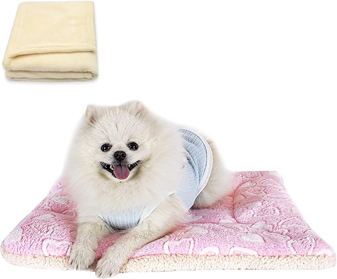 Cat Dog Bed Mat & Blanket, Reversible Pets Crate Pad Bed Mat and Ultra Soft Warm Fleece Calming Blanket for Small Puppy Kitty, Washable
