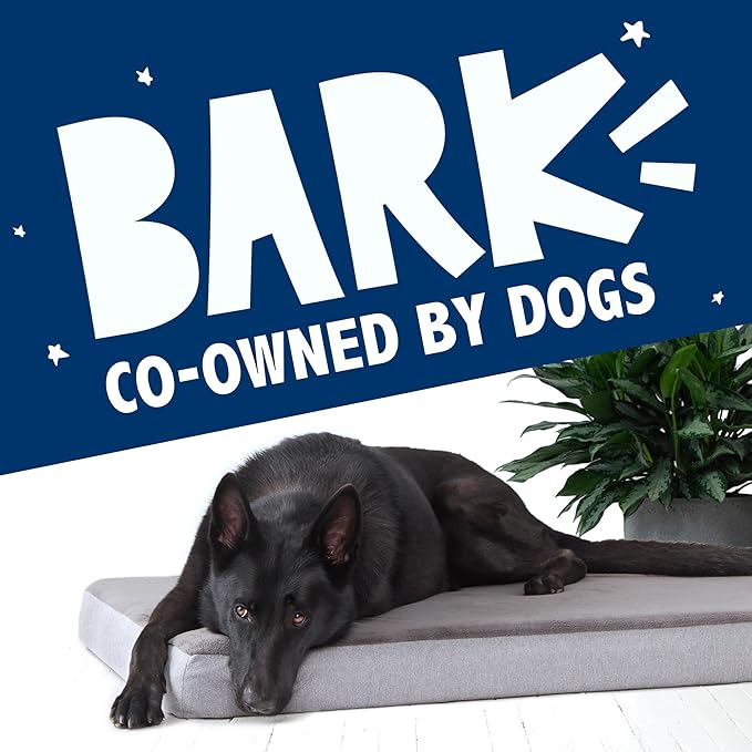 Barkbox Orthopedic Dog Bed with Memory Foam, Premium Comfort for Dogs and Puppies, Dog Bed for Joint Relief and Restful Sleep, Durable and Easy to Clean - Grey, Small