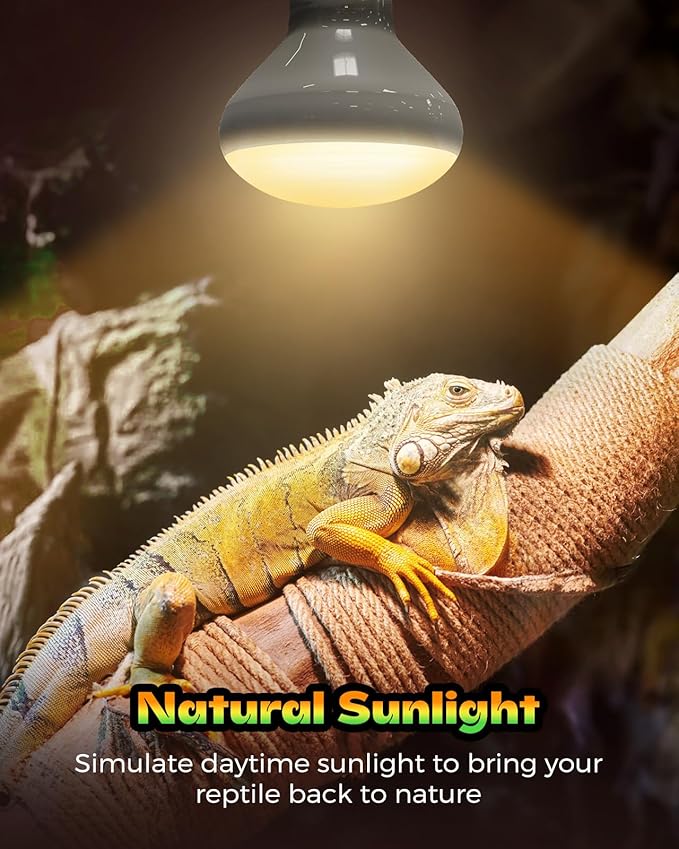 Reptile Heat Lamp, Simulate Natural Sunlight Heat Light Bulbs 2 Pack 75W Amphibians Basking Heat Lamp Bulbs for Reptiles, Bearded Dragon, Lizard, Turtle, Chicken