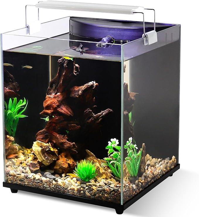 fishkeeper 4 Gallon Fish Tank Starter Kit, Small Aquarium with Filter and Adjustable 3 Color Lighting Self Cleaning Fish Bowl Rimless Aquarium for Beginners (Freshwater Fish Tank)