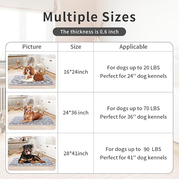 Dog Crate Mat, Soft Reversible Pet Bed Pad with Short Plush, 45x60cm, 2cm Thick, Machine Washable Mat for Small Dogs and Cats, Fits 60cm Crates