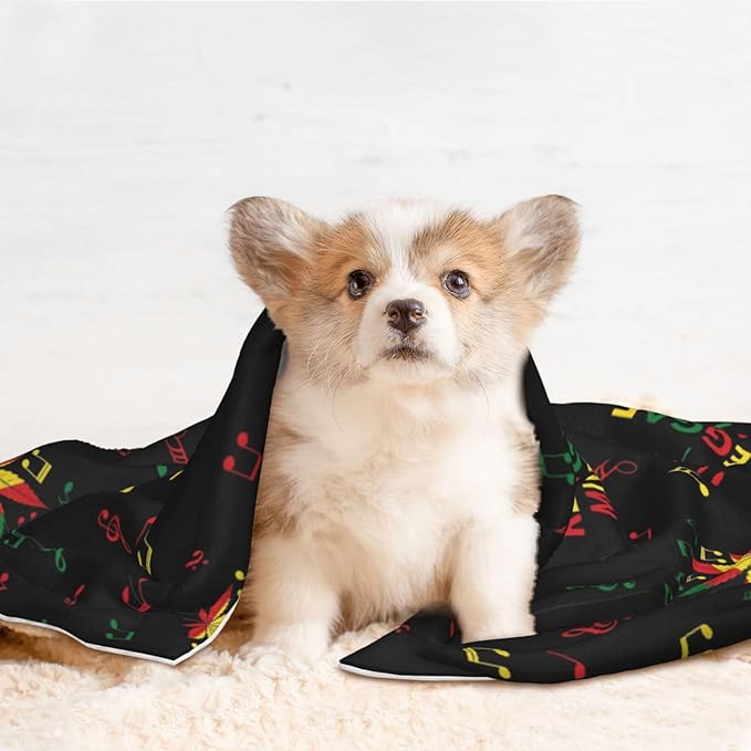 Two Sided Pet Cuddler Blanket for Anxiety Calming, Rasta Reggae Music Note Weedleaf Leaf, Reversible Plush Design with Bubble Dot Pattern Provides Familiar Surface Anywhere