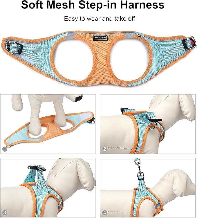 Mercano Soft Mesh Dog Harness and Leash Set, No-Chock Step-in Reflective Breathable Lightweight Easy Walk Vest Harnesses with Safety Buckle for Small Dogs, Cats (L, Orange Blue)