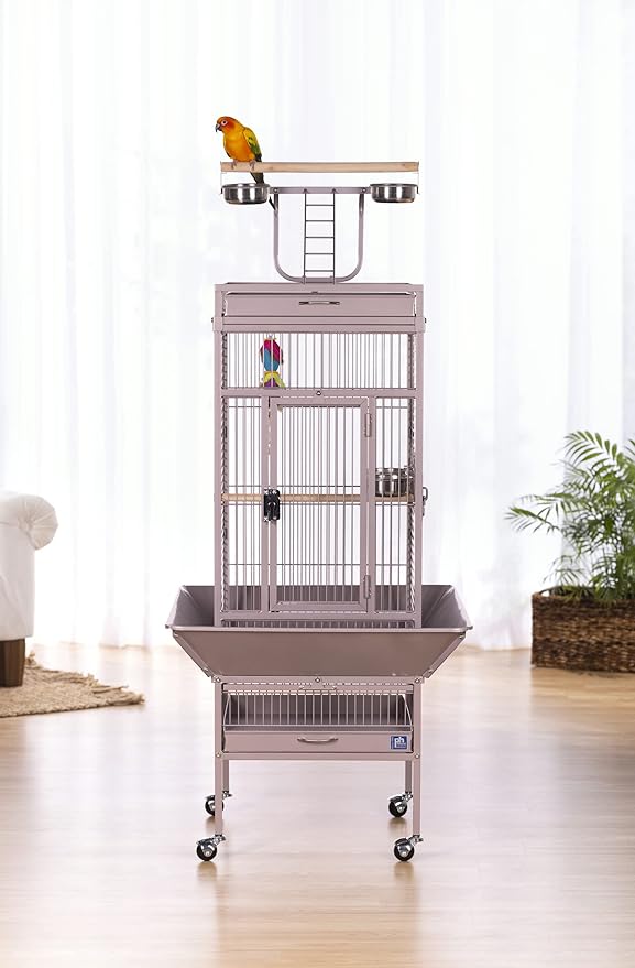 Playtop Bird Home in Blush Finish