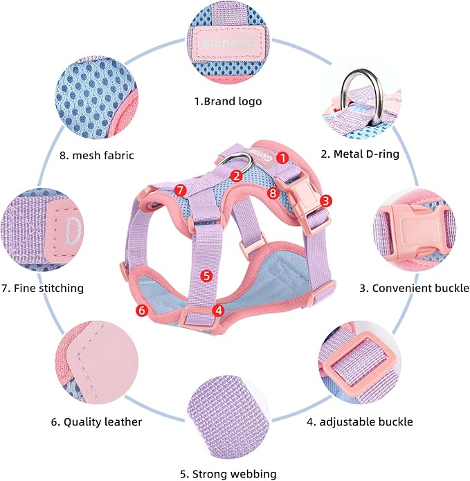 Small Dog Harness and Leash Set, Breathable Mesh Puppy Harness, Adjustable Dog Harness for Small Medium Large Dogs, No-Pull Pet Harness for Daily Walking (Blue, Large)