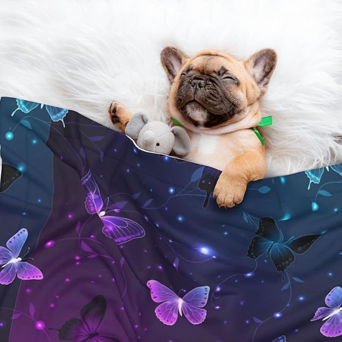 Reversible Dog Blanket for Beds Couches, Background with Night Butterflies, Double Sided Cat Blanket with Textured Dot Feel and Smooth Feel for Seasonal Comfort All Year