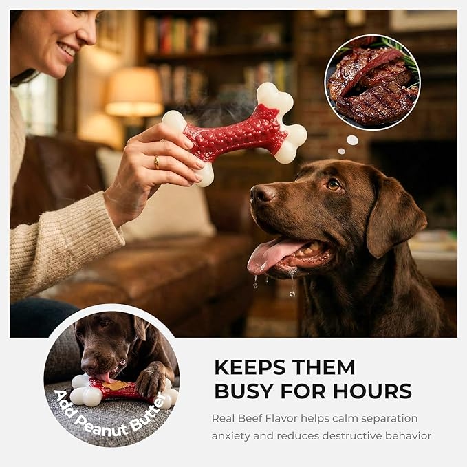 10-Pack Indestructible Dog Toys for Aggressive Chewers: Beef Flavored Hard Nylon Bone Chew Toys, Tough Dog Chew Toys for Large Dogs, Dog Toys to Keep Them Busy for Medium Large Breed, Red