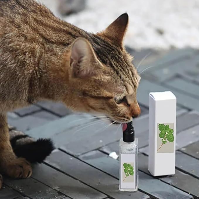 Kitty Joy Herbal Cat Joy, Herbal Cat Joy Spray, Celery Pets Catnip Spray, Catnip Spray for Indoor Cats, Cat Calming Spray, Anti Scratch Cat Spray, Cat Training Spray with Catnip, Cat Nip Spray (3PCS)