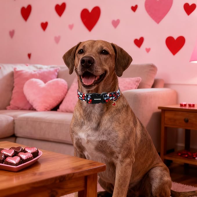 DOGWONG Red Heart Dog Collar, Cute Valentine Collar, Valentine's Day Dog Collar with Strong Plastic Buckle for Small Medium Large Dogs,S