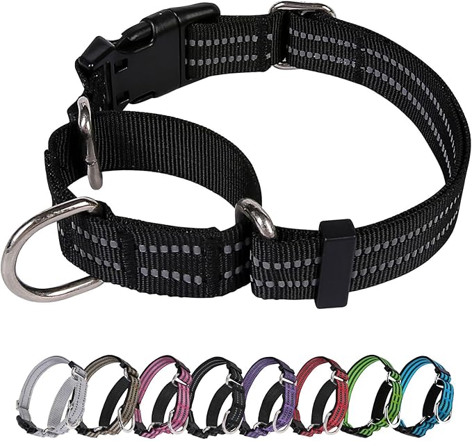 Martingale Dog Collar, Adjustable Nylon Reflective Collar with Buckle No Pull Dog Collar for Small Medium Large Dogs (Black S)
