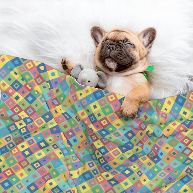 Dog and Cat Blanket in One, Rainbow Diagonal Plaid, Double Sided Plush Throw with Raised Dot Pattern on One Side and Flat Velvet on Other for Variety