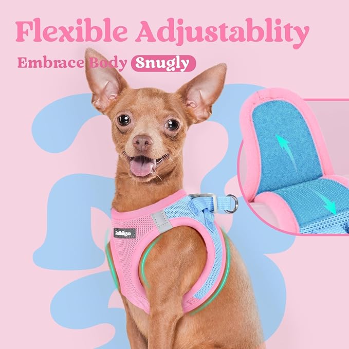rabbitgoo Small Dog Harness, Step-in Soft Mesh Puppy Vest with Safety Buckle, Breathable Reflective Pet Harness for Small Sized Dogs, Blue & Light Pink S