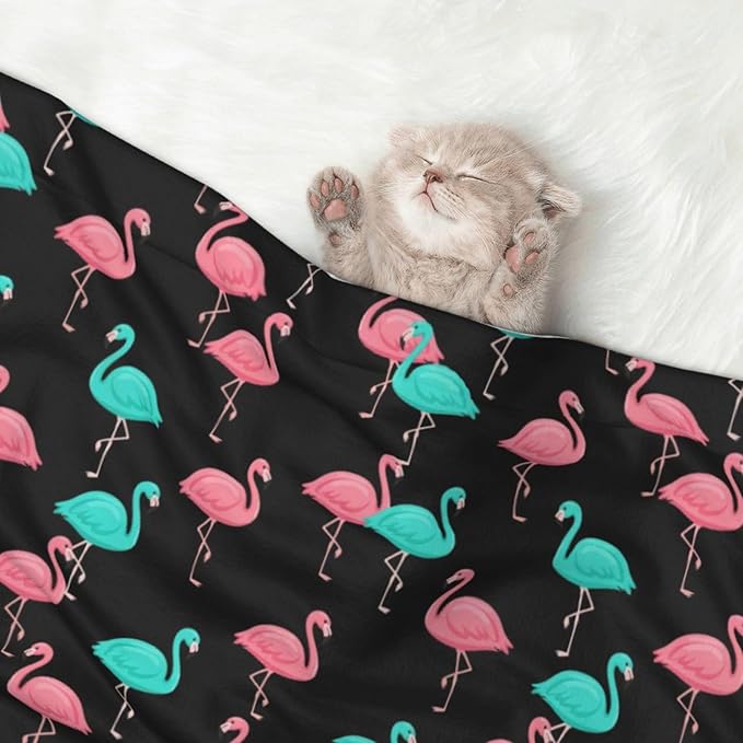 Two Sided Plush Pet Blanket for Warmth Comfort, Flamingo Pattern, Reversible Throw with Cozy Nubby Side for Chilly Nights Napping Spots Around House