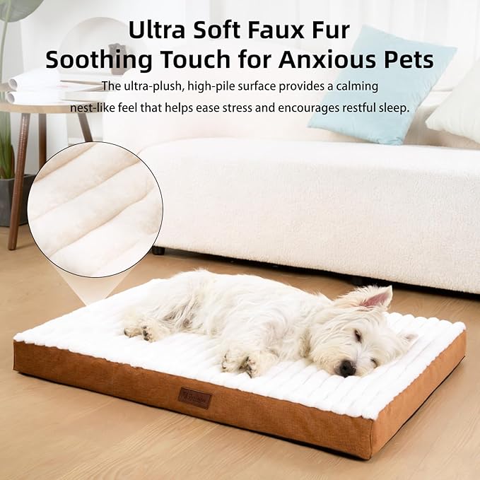 Orthopedic Dog Bed with Firm High-Density Egg Crate Foam,Soft Short Plush Surface Pet Beds,Machine Washable with Removable Cover & Non-Slip Bottom for Medium Breeds (Brown, 29" L x 18" W x 3" H)