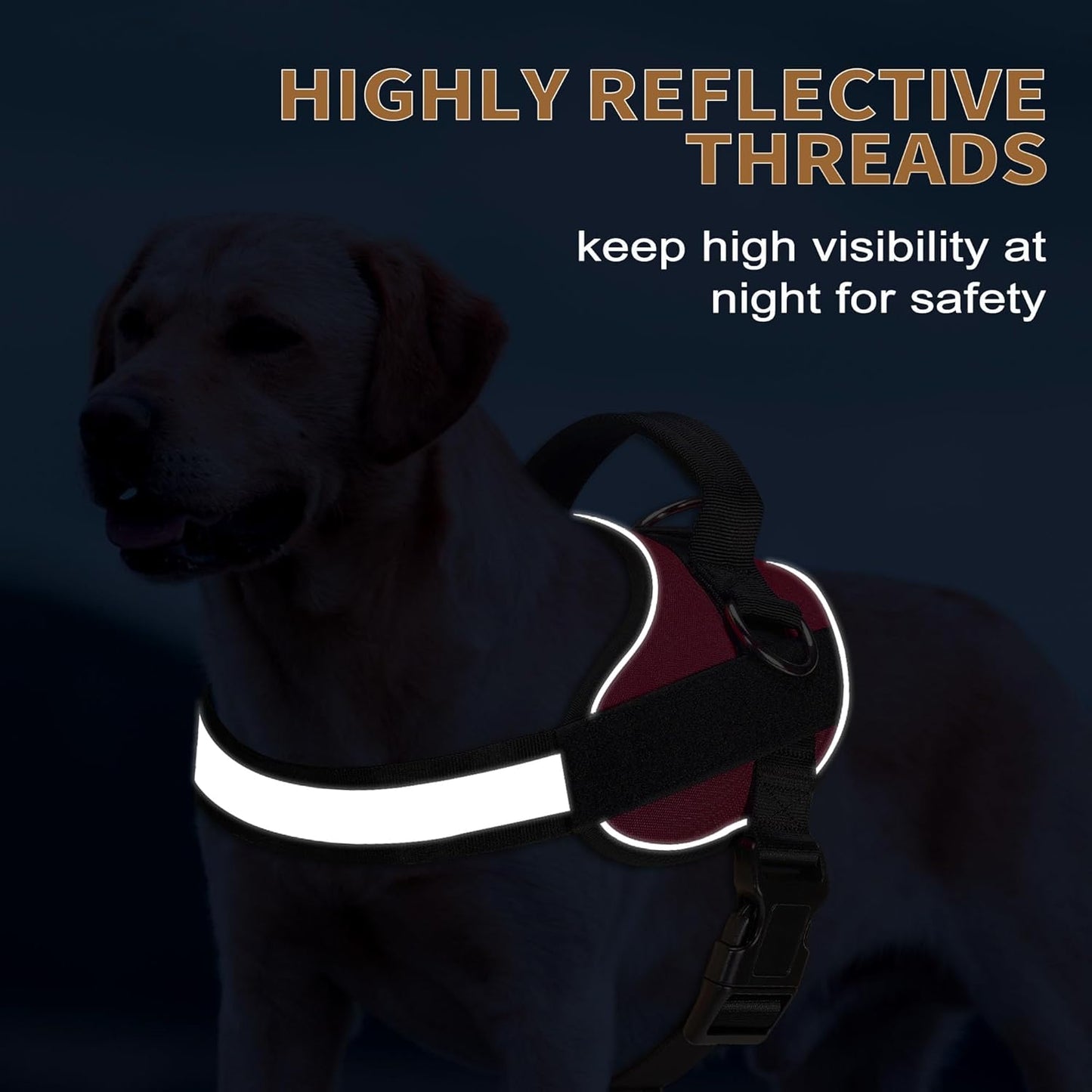 Haapaw Essential Dog Harness, No Pull Pet Vest with 3 Leash Clips, No Choke, Reflective, Adjustable and Padded, for Easy Walking and Training for Large Dogs(L, Red)