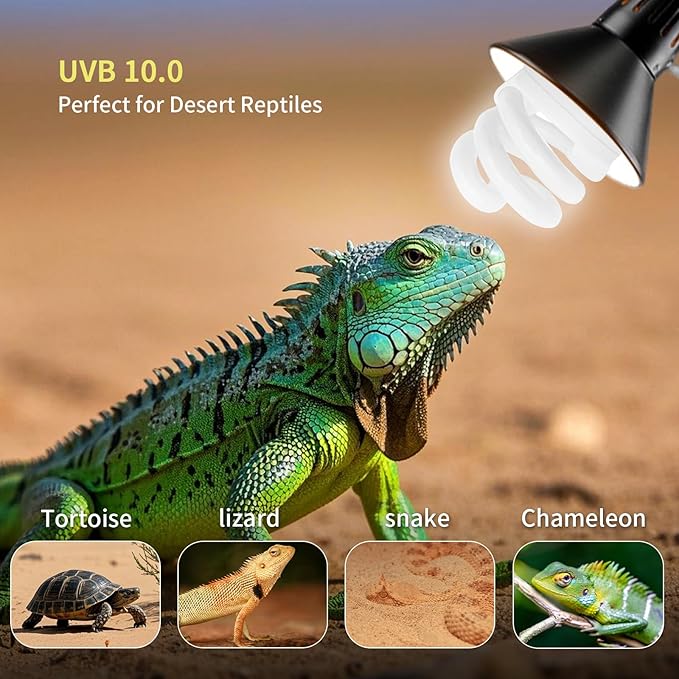 UVB Light Bulb for Reptiles, 9W 10.0 UVA UVB Heat Lamp Bulbs Ideal for Rainforest Reptiles, Bearded Dragons Lizard Turtle Tortoise Iguanas Chameleons Snake (1 Pack)