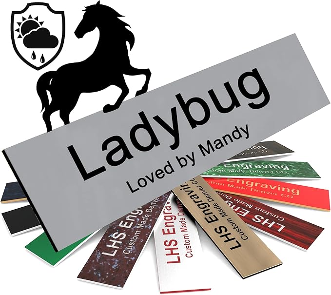 Personalized Horse Stall Name Plates, 2x6 Horse Stall Signs with Adhesive, All Weather UV Protected, Gray Plastic with Black Letters - Made in USA - B8