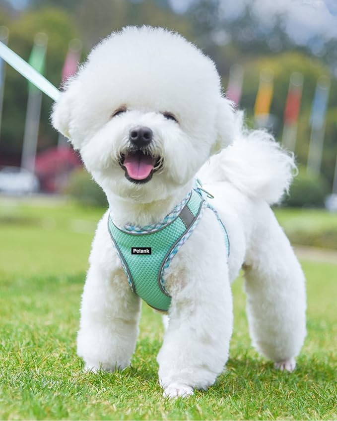 Petank Dog Harness for Small Medium Dogs No Pull, Puppy Harness and Leash Set, Step in Dog Harness for Walking, Running, Training, Small Dog Vest(Green, XXS)