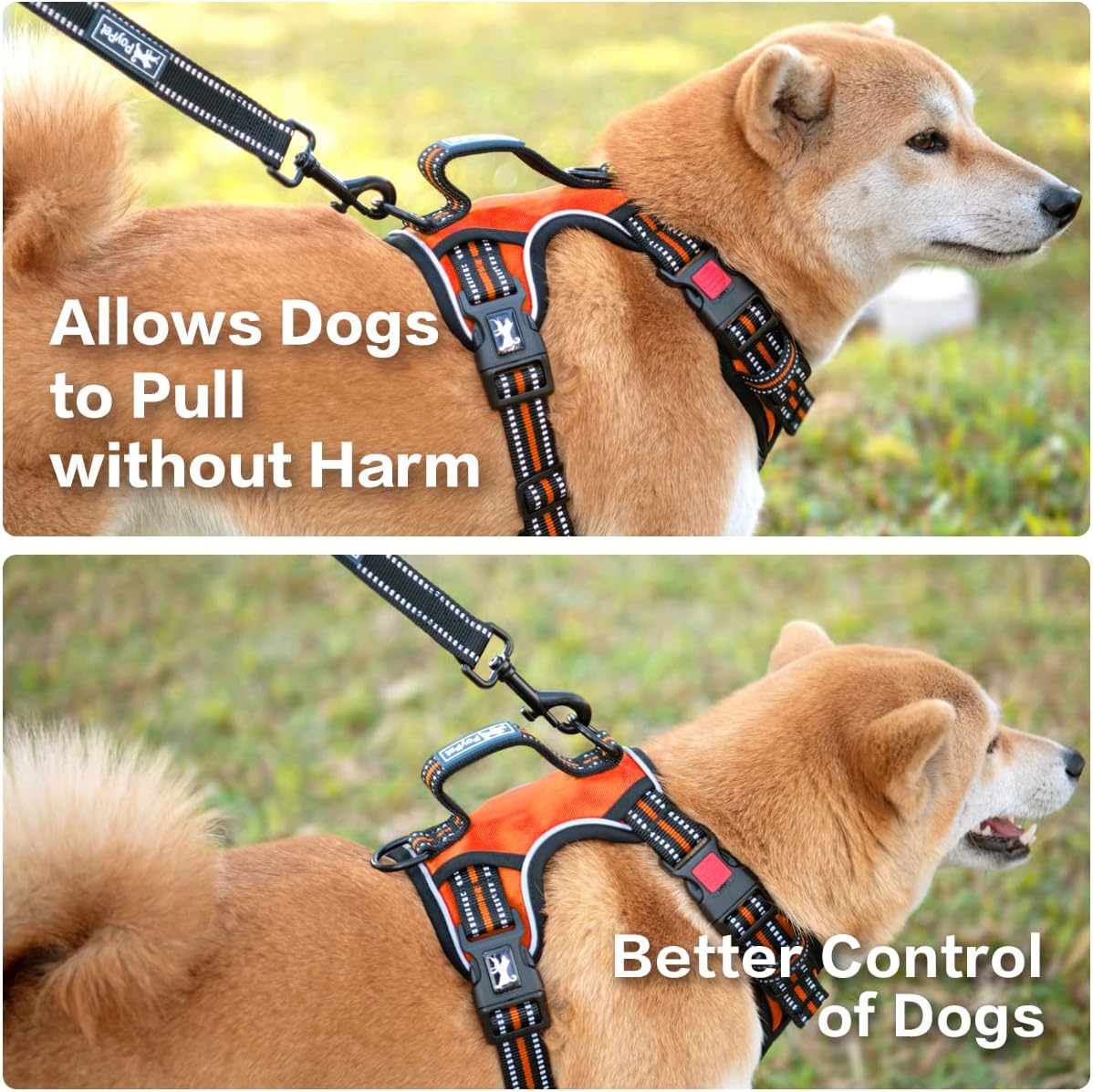 PoyPet No Pull Dog Harness, No Choke Front Clip Reflective Dog Vest with Soft Padded Vertical Handle, 3 Leash Attachments for Small Medium Large Dogs (Orange,XL)