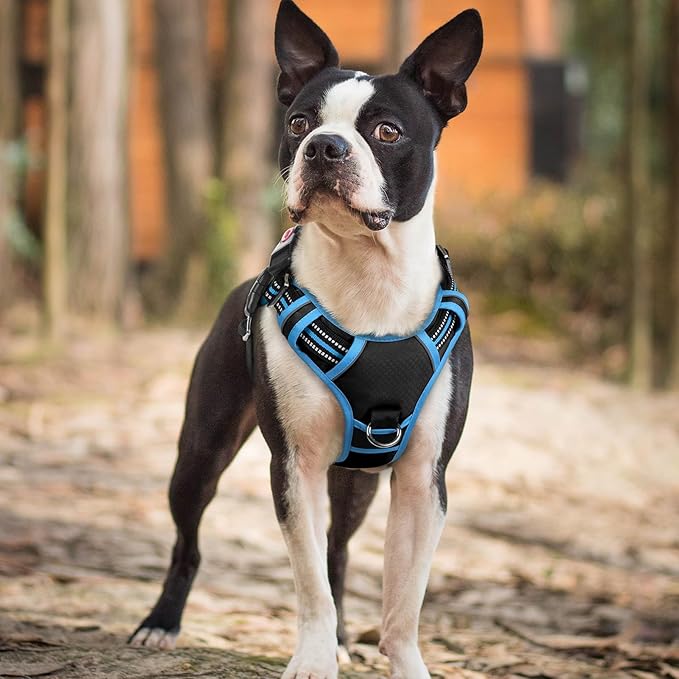 rabbitgoo Dog Harness Small Sized, No Pull Dog Vest with 3 Buckles, Adjustable Soft Padded Pet Harness with Easy Control Handle and Reflective Strips, Black & Sky Blue, S