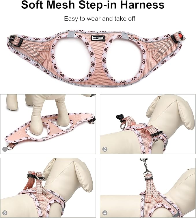 Mercano Soft Mesh Dog Harness and Leash Set, No-Chock Step-in Reflective Breathable Lightweight Easy Walk Vest Harnesses with Safety Buckle for Small Dogs, Cats (Champagne, XL)