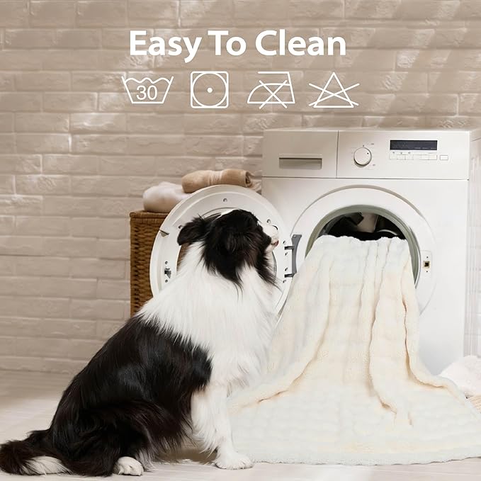 Dog Blankets Washable Pet Blanket - Fluffy Fuzzy Cat Puppy Blanket with Premium 300GSM 3D Fleece Bubble for Pet Kitten Doggy, Cream, 60x80IN