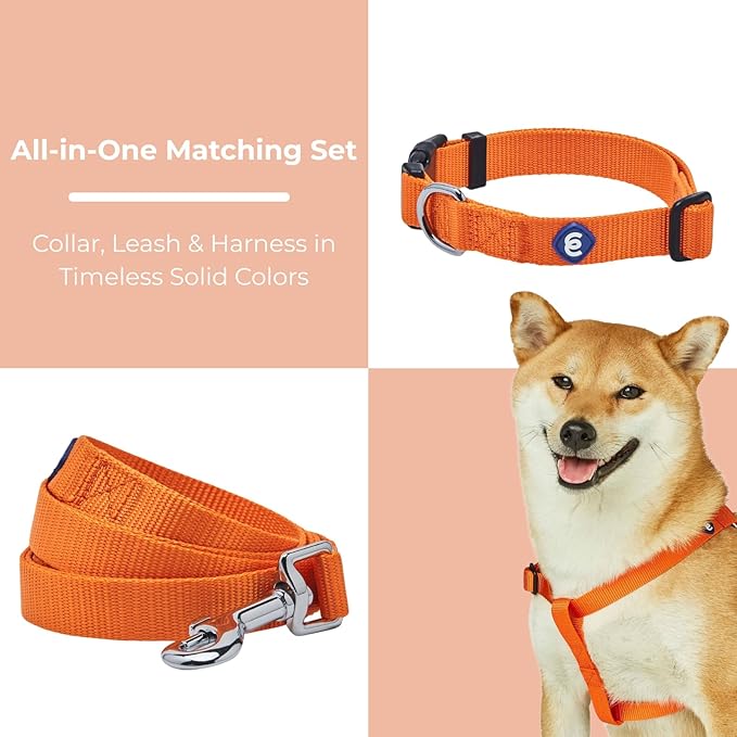 Blueberry Pet Essentials Matching Dog Collar Leash Harness Set in Orange Vermilion, Adjustable Classic Solid Color Nylon Collar with Harness & 5 ft Leash for Small Dogs
