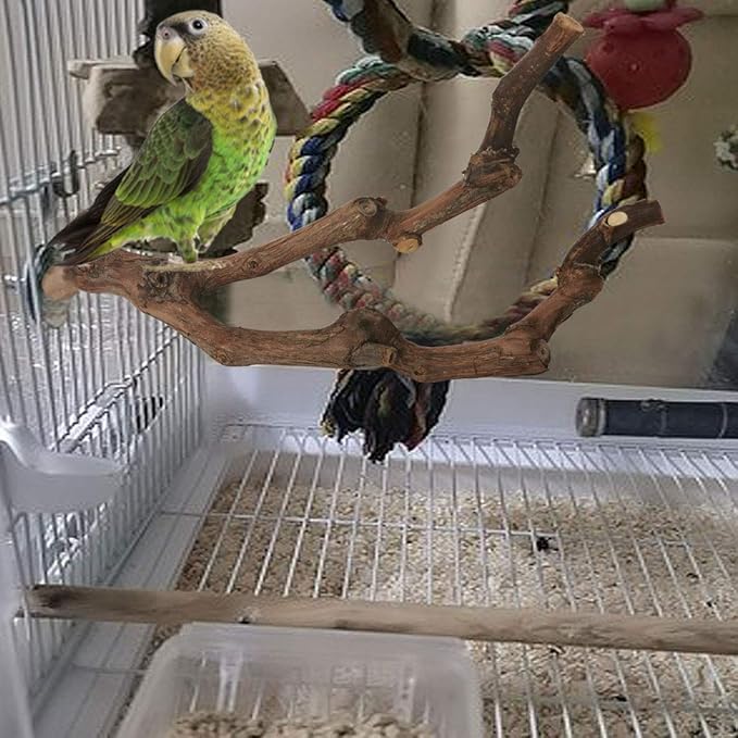 PINVNBY Natural Parrot Perch Bird Stand Pole Wild Grape Stick Paw Grinding Fork Parakeet Climbing Standing Branches Toy Chewable Cage Accessories for Small Lovebirds Budgies Cockatiels 2PCS
