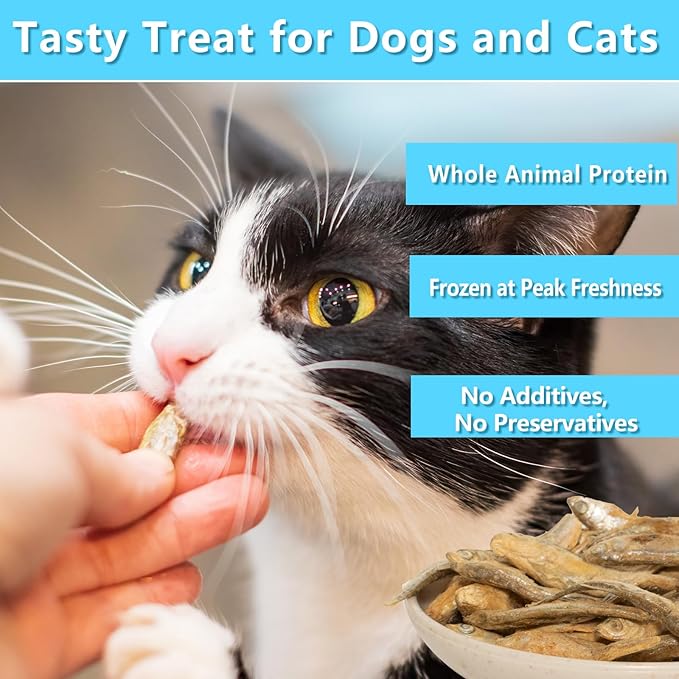 Minnows 4 oz Freeze Dried Minnows, 100% Natural Cat & Dog Treat
