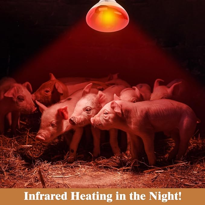 250W Red Heat Lamp Bulbs for Chicken,Infrared Flood Light Heat Lamp Bulb, Incandescent Light Heat Lamps for Chicks, Reptile, Pets, Par38 Glass E26 Base 2PCS