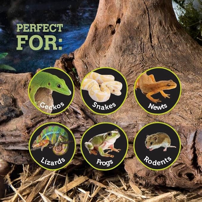 Galápagos (05368) Mossy Dome Hide - Natural Corner Cave for Reptile Enclosures, Terrariums, and Tanks, 9", Vined Green Moss