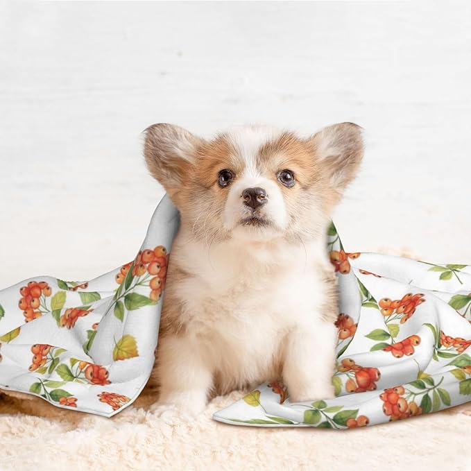 Double Sided Plush Pet Blanket with Cozy Dot Texture and Smooth Reverse, Flower Berries Autumn Orange Art Pattern, Reversible Throw for Dogs Cats on Couches Beds Crates